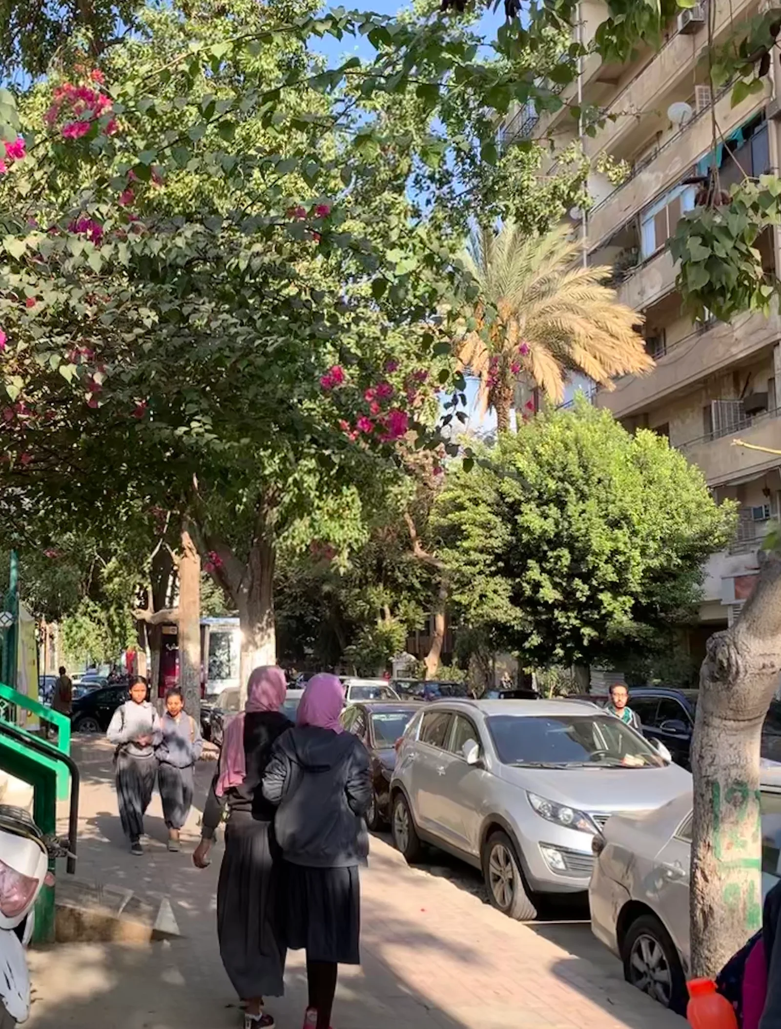 تلميذتان تسيران على رصيف مظلل بالأشجار في الزمالك، وسيدتان أمامهما وسيارات مصطفة على جانب الشارع